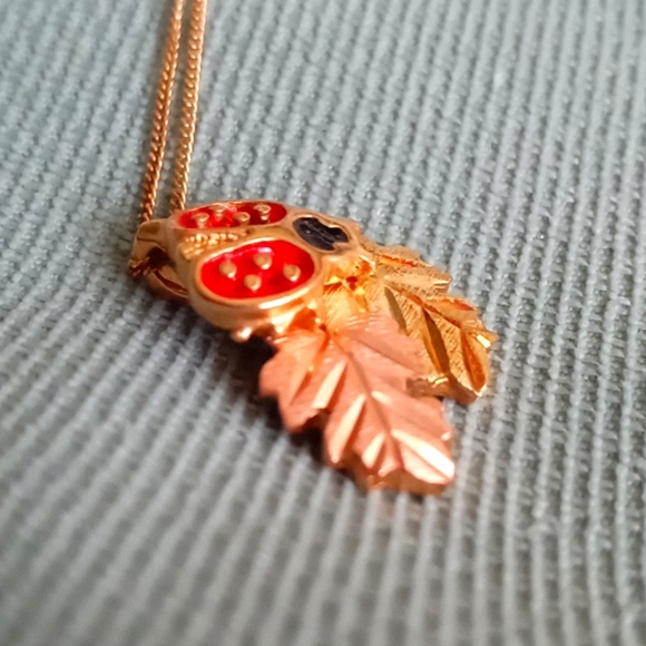 BLACK HILLS GOLD LADYBUG ๐ AND LEAVES NECKLACE - Picture 5 of 9
